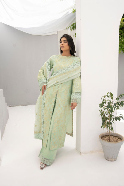 SKua | Cotton Silk with Cotton Organza Embrioded Dupatha