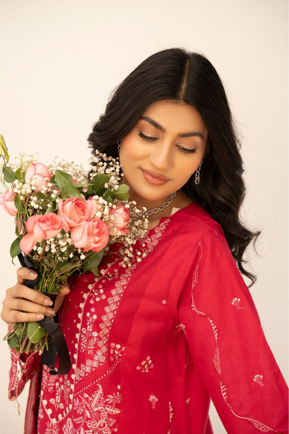 3 Piece - Embroidered Lawn Suit