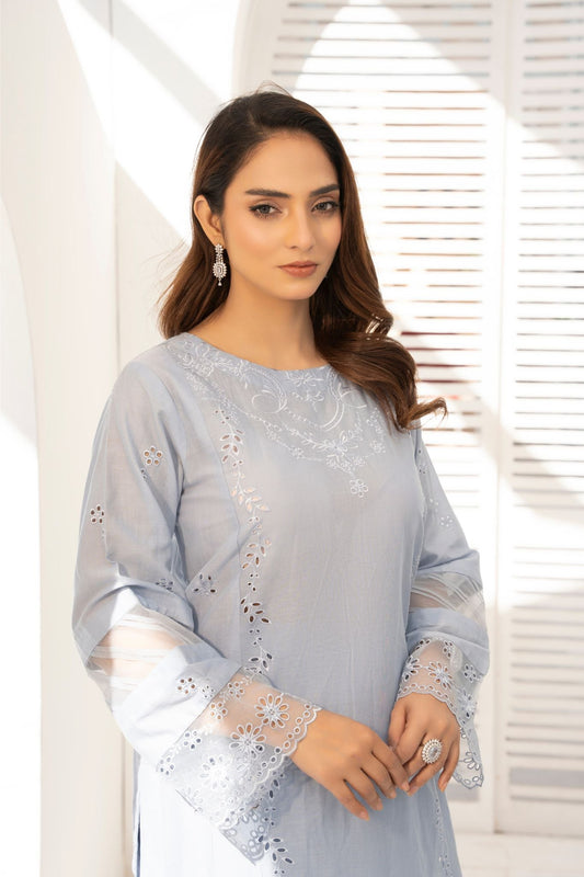 2 Piece - Embroided Lawn Suit