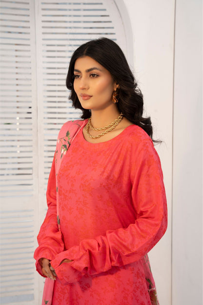 3 Piece Printed Embroidered